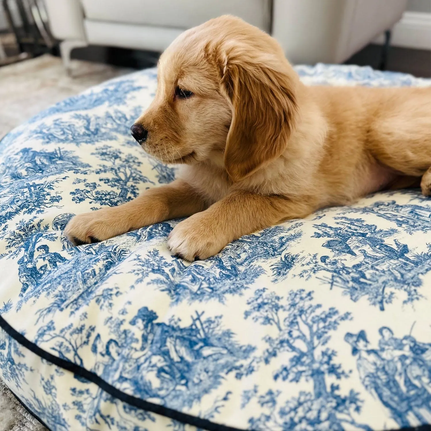 French Toile Round Dog Bed