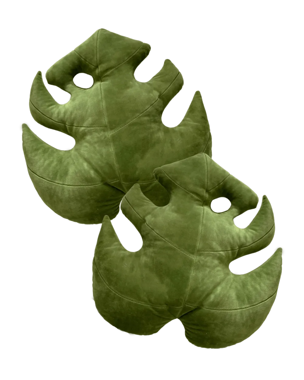 Monstera Leaf Set