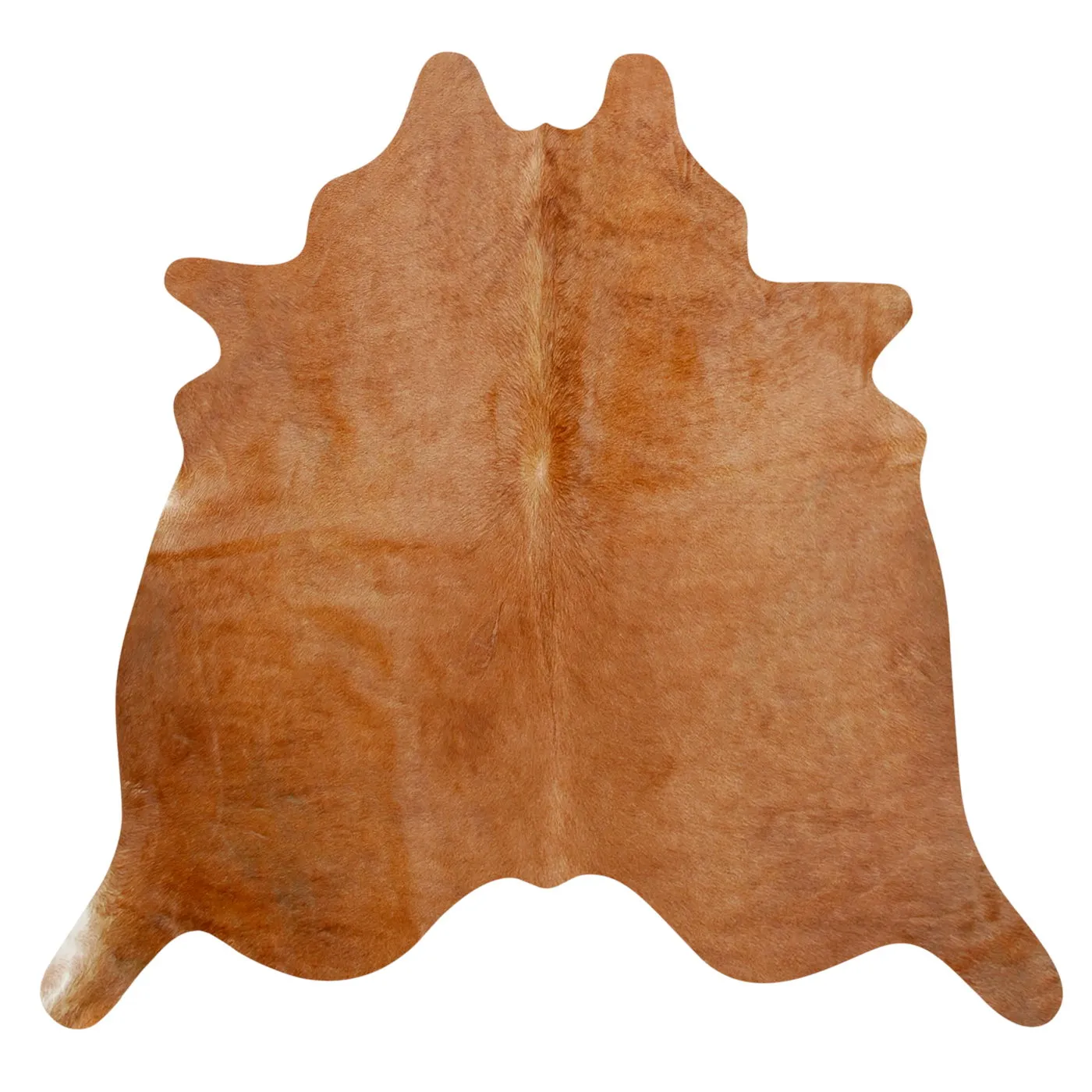 Natural Argentine Cowhide 4' 11" x 6' 1"