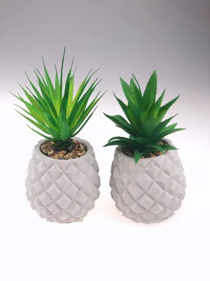 Pineapple Cactus Cement Base