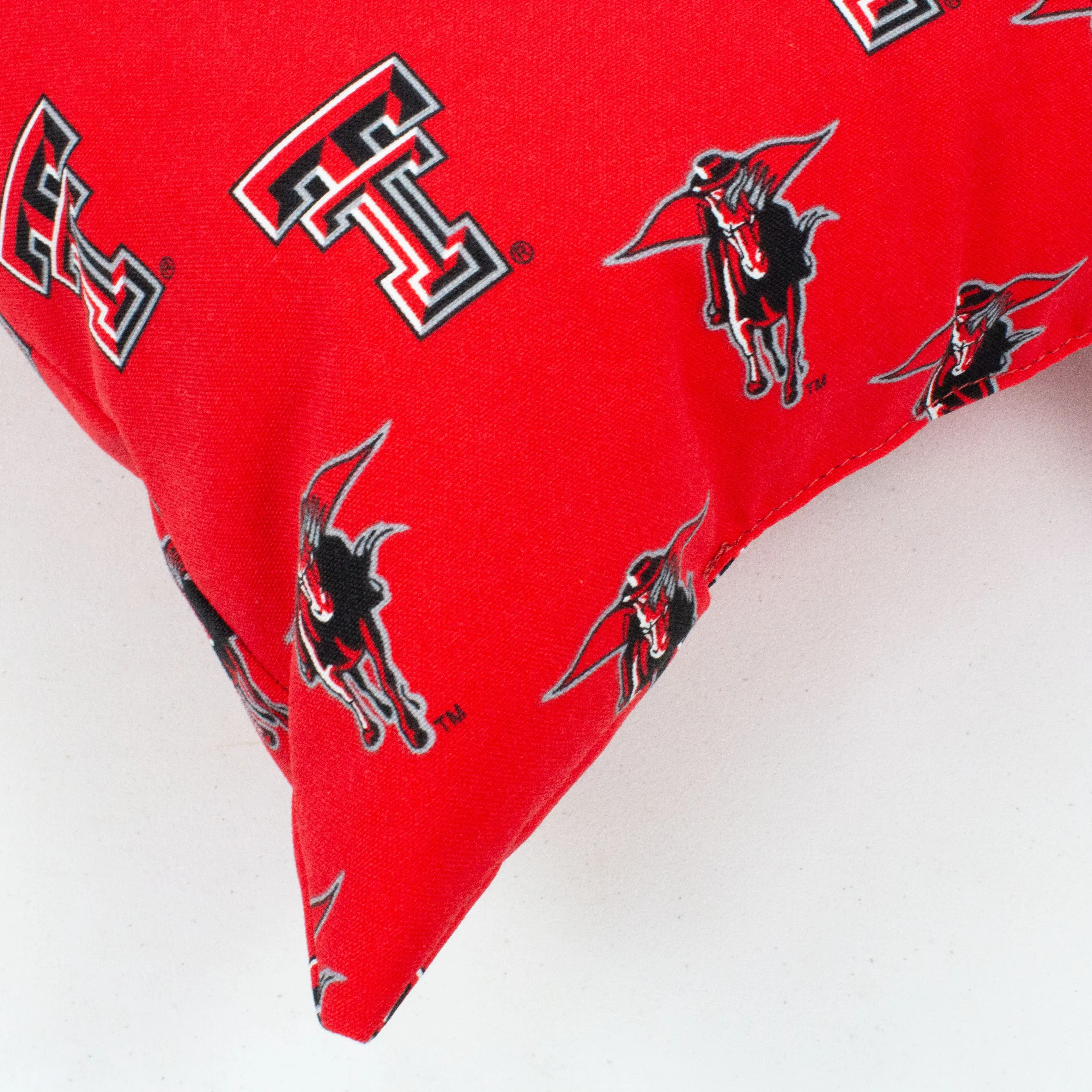 Texas Tech Red Raiders 16" Outdoor Decorative Pillow